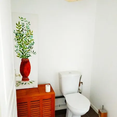 Apartment Luxe Tropical - Appartement Edouard - Royan Centre Royan